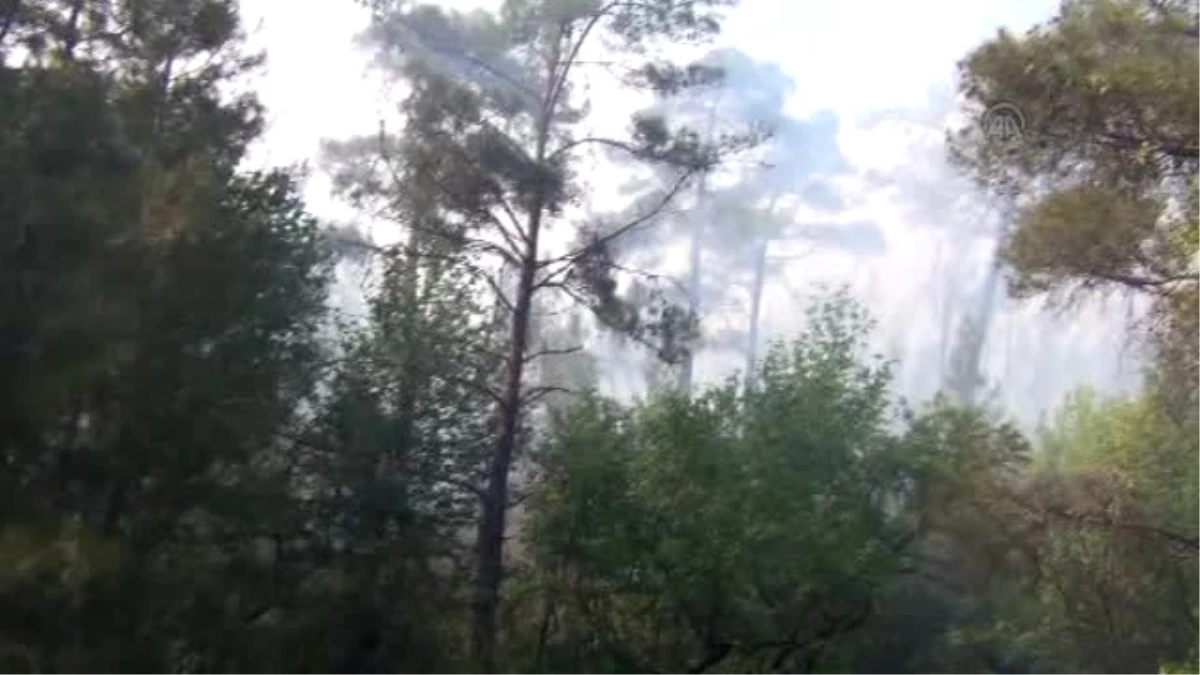 Köyceğiz\'deki Orman Yangını Kontrol Altına Alındı
