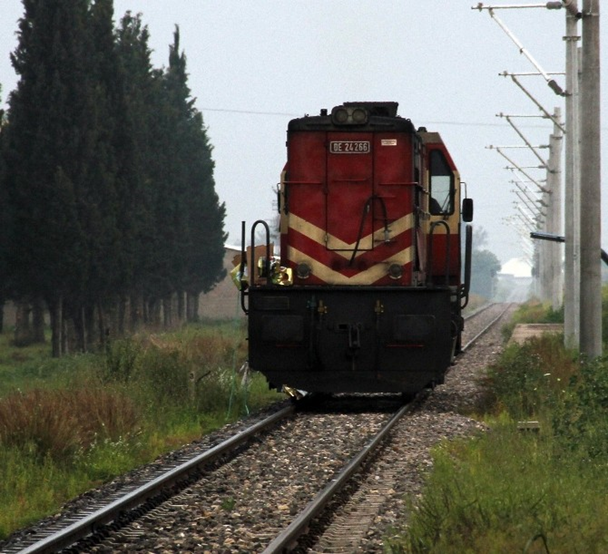 Tren Zeytin Yüklü Tır\'a Çarptı: 1 Ölü
