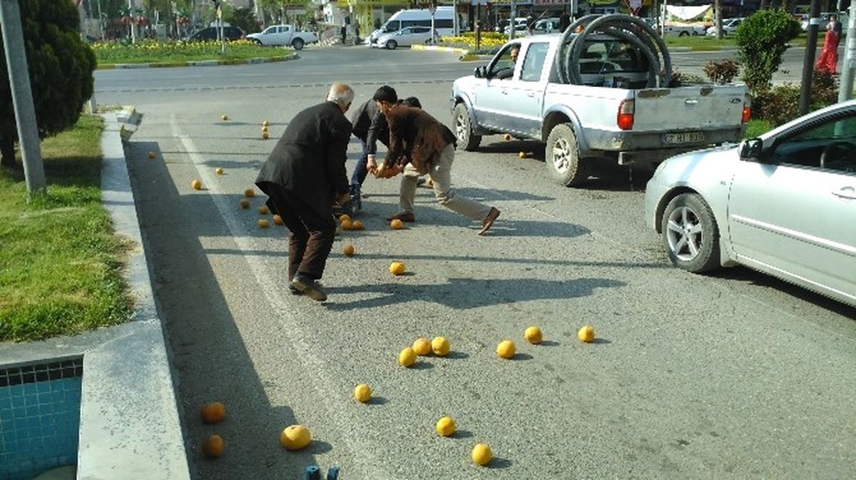 Yola Dökülen Greyfurtlar, Sürücüler Tarafından Toplanıp Sahibine Verildi