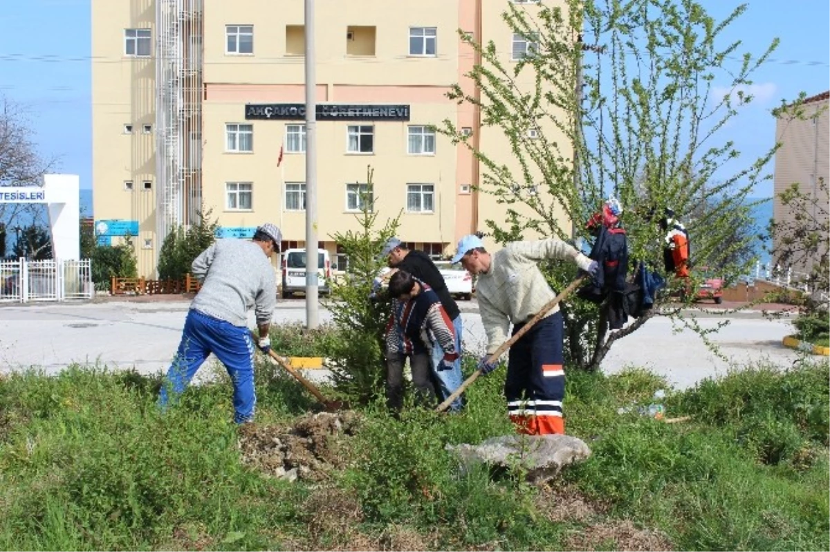 Akçakoca Yeşillendiriliyor