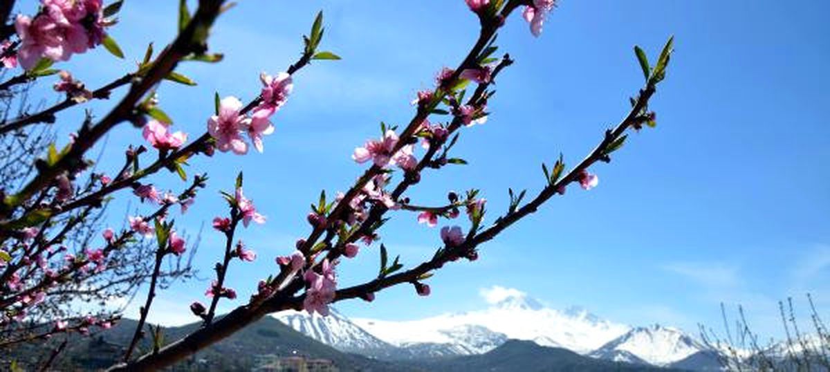 Erciyes ve Bahar