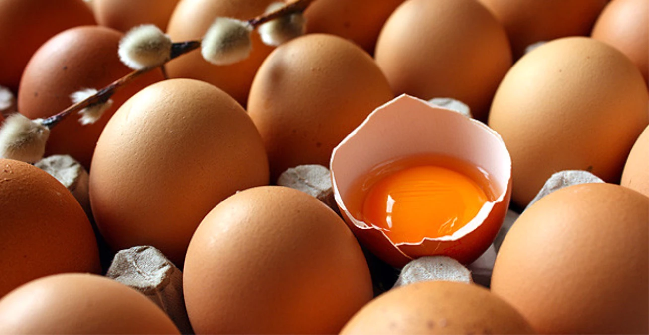 Tavuk Pisliğine Bulanmış Yumurta \'Organik\' Adıyla 2 Katına Satılıyor