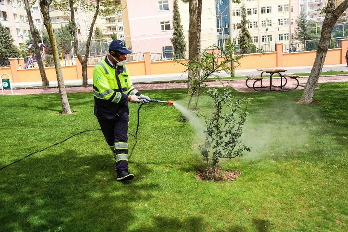 Şehitkamil Belediyesi, Ağaçlarda İlaçlama Çalışması Başlattı
