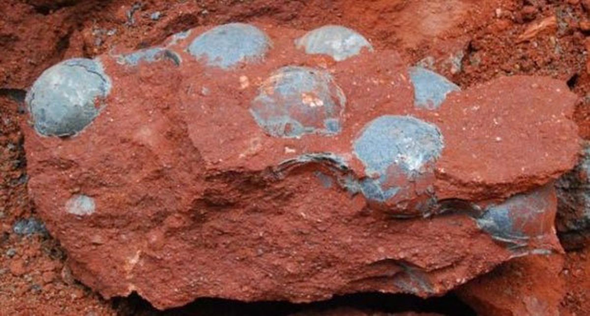 Yol Çalışmasında 43 Dinozor Yumurtası Bulundu
