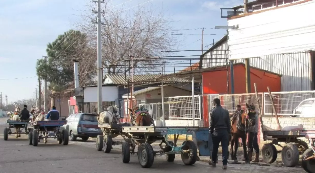 Acarlarlı Atçılar Siftahsız Günler Geçirmeye Başladıklarını Belirttiler