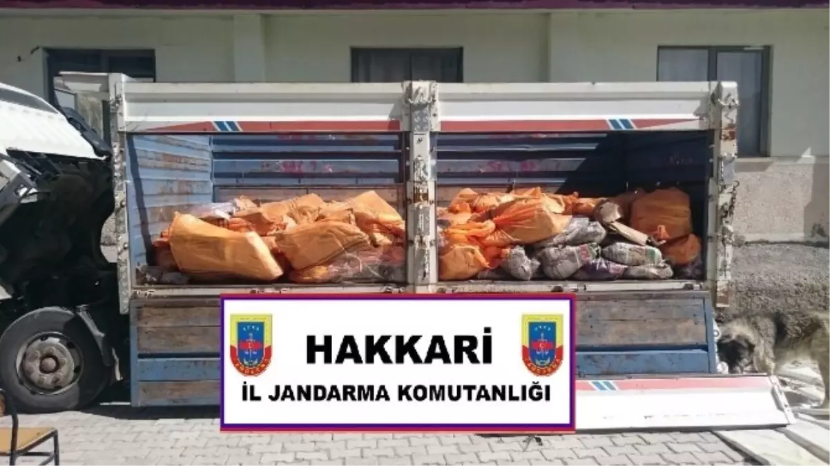 Hakkari\'de Kaçakçılık Operasyonu