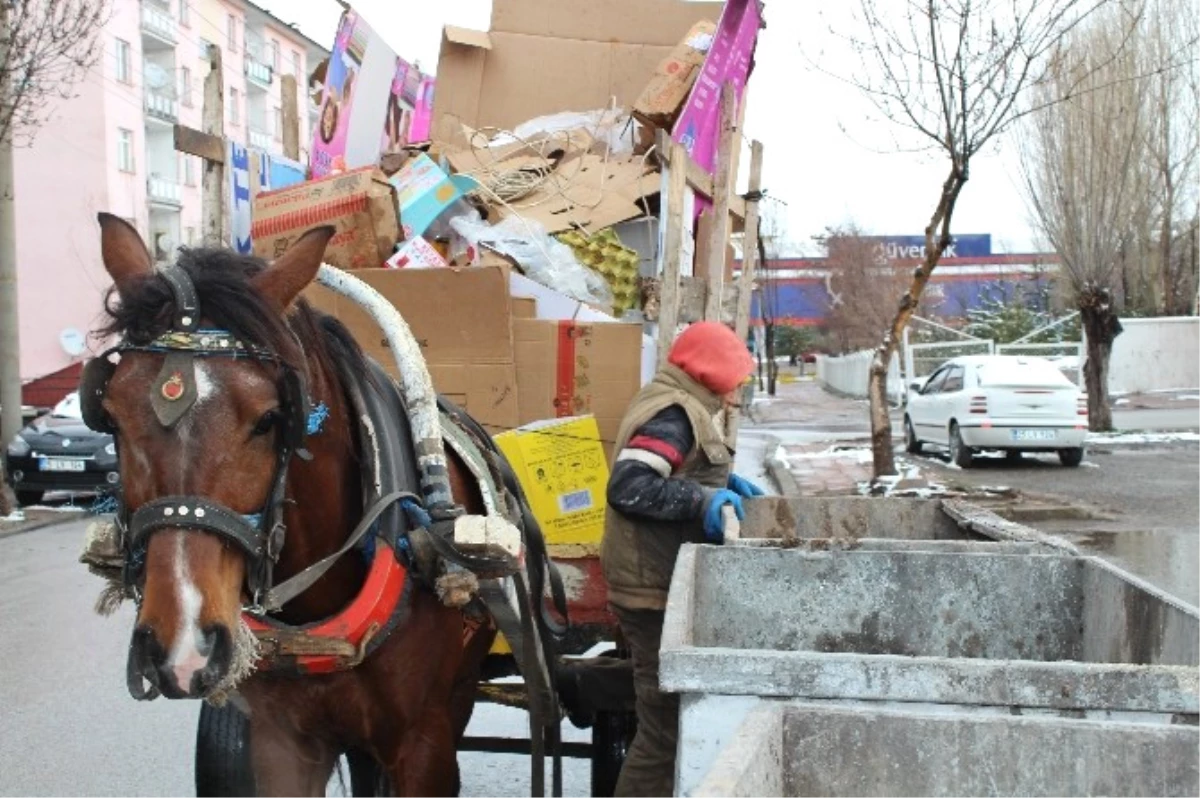 Arkadaşları Eğlenirken Soğuk Havada Kağıt Topladı