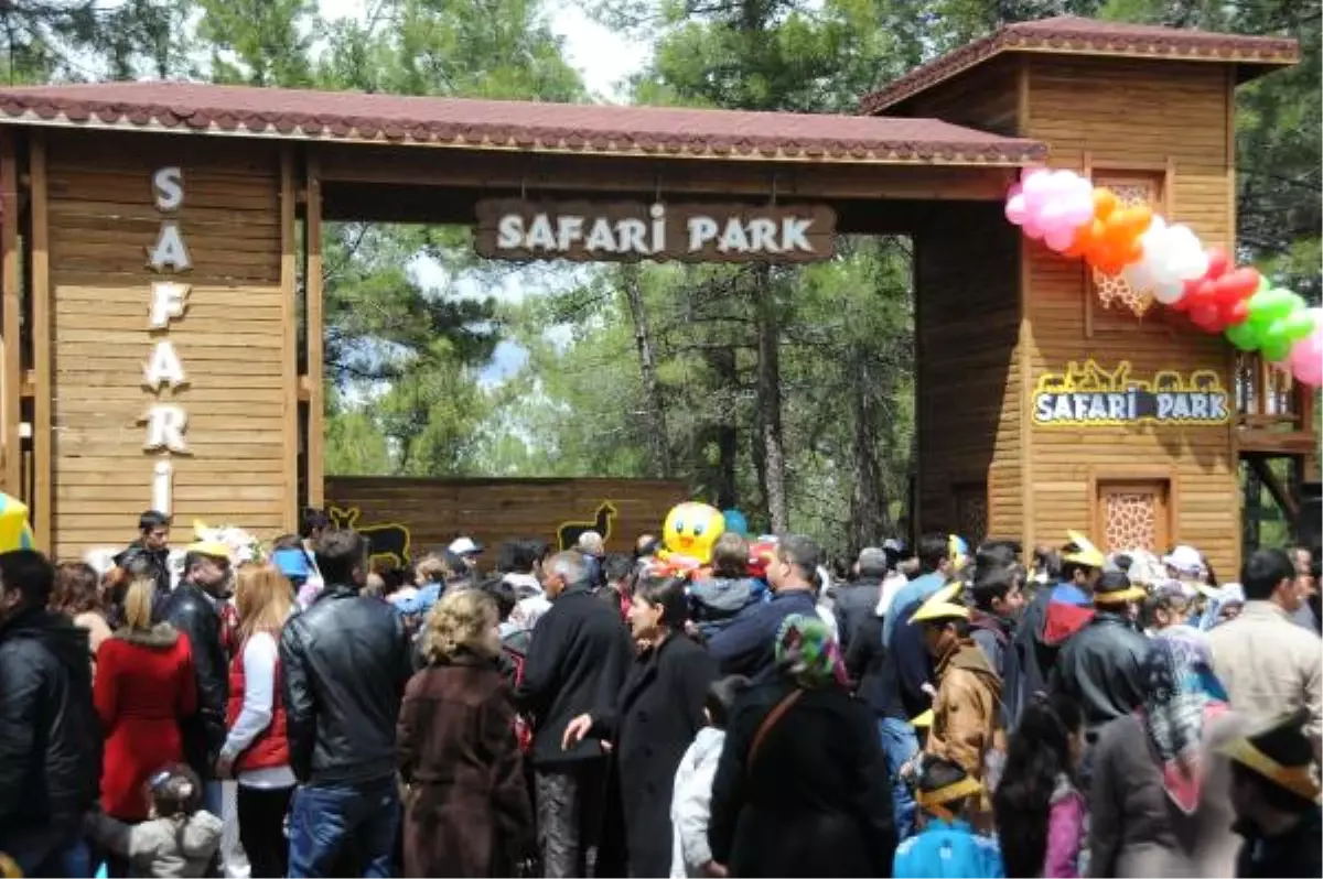 Türkiye\'nin İlk Safari Parkı Açıldı