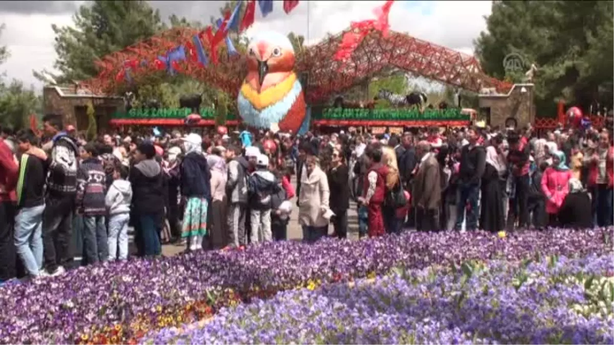 Türkiye'nin İlk Safari Parkı, Gaziantep'te Açıldı