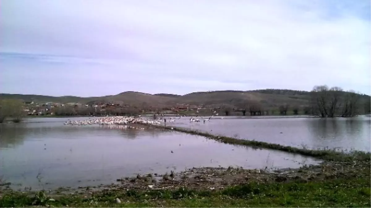 Burası Akin Kuş Cenneti