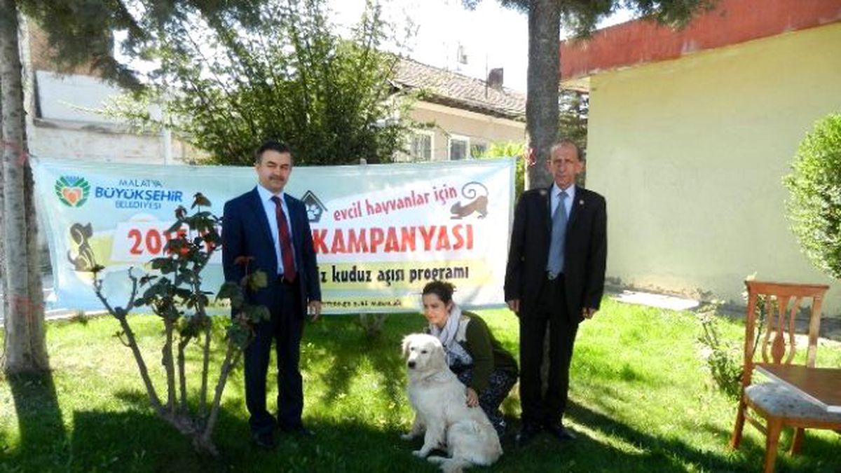 Evcil Hayvanlar İçin Ücretsiz Kuduz Aşısı Kampanyası Sona Erdi