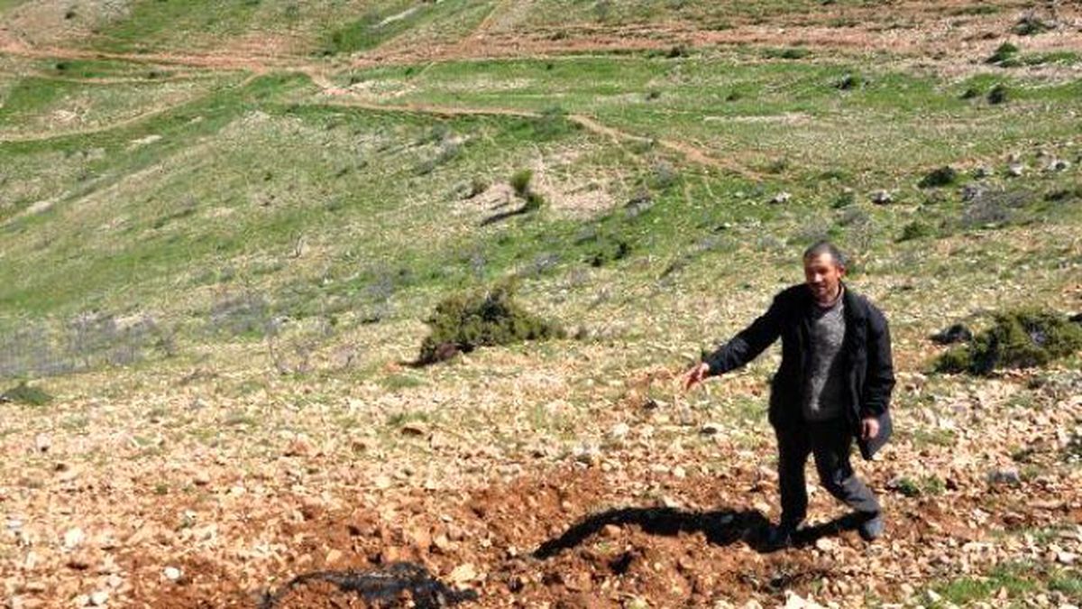 Gölbaşı\'nda Yıldırım Düştü; Çoban Yaralandı, 9 Keçi Telef Oldu