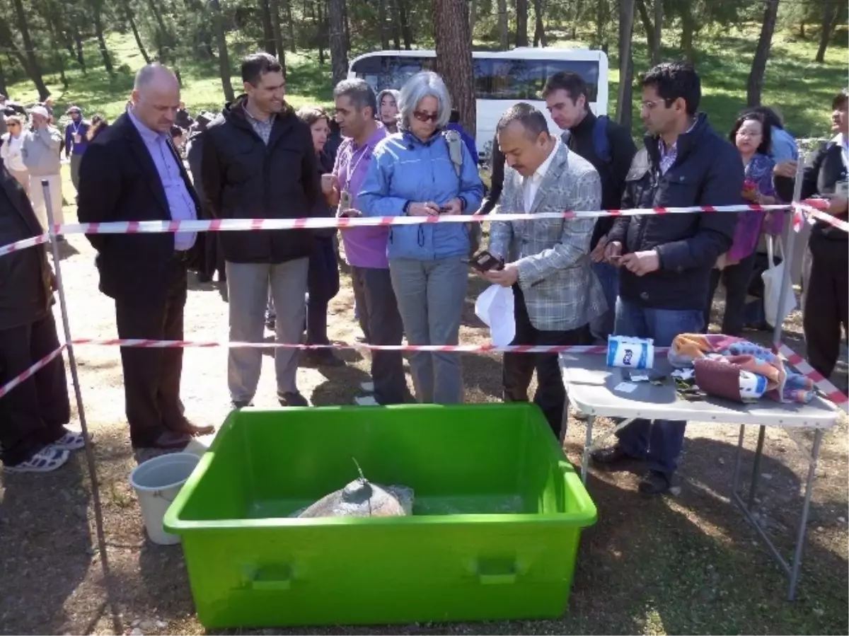 İztuzu Sahilinde 4 Deniz Kaplumbağası Denize Bırakıldı