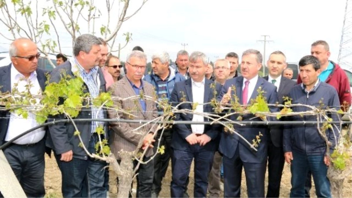 AK Parti\'li Özdağ Dondan Zarar Gören Çiftçilerle Bir Araya Geldi