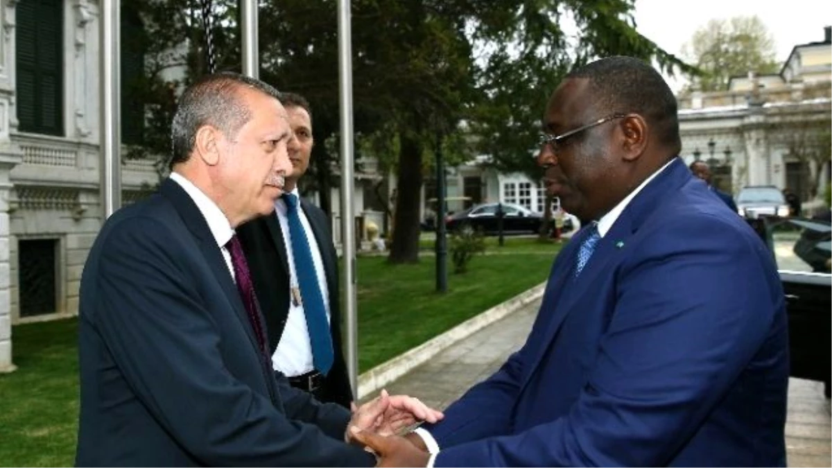 Erdoğan, Senegal Cumhurbaşkanı Macky Sall ile Bir Araya Geldi