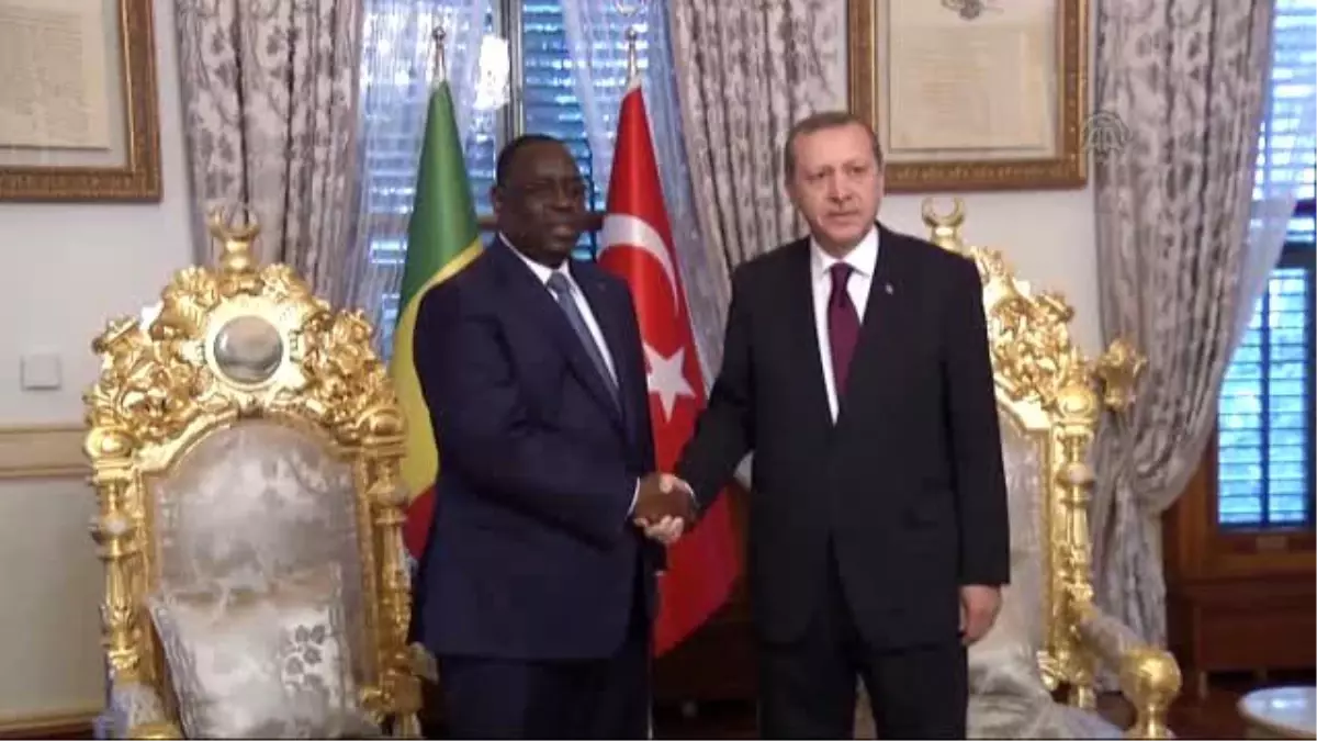 Erdoğan, Senegal Cumhurbaşkanı Sall ile Görüştü