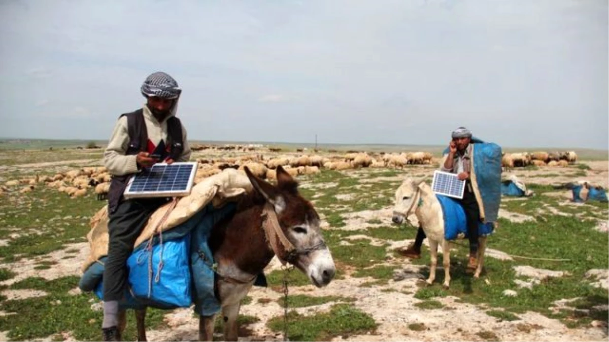 Şanlıurfalı Çobanlar Elektriklerini Bedavaya Getiriyor