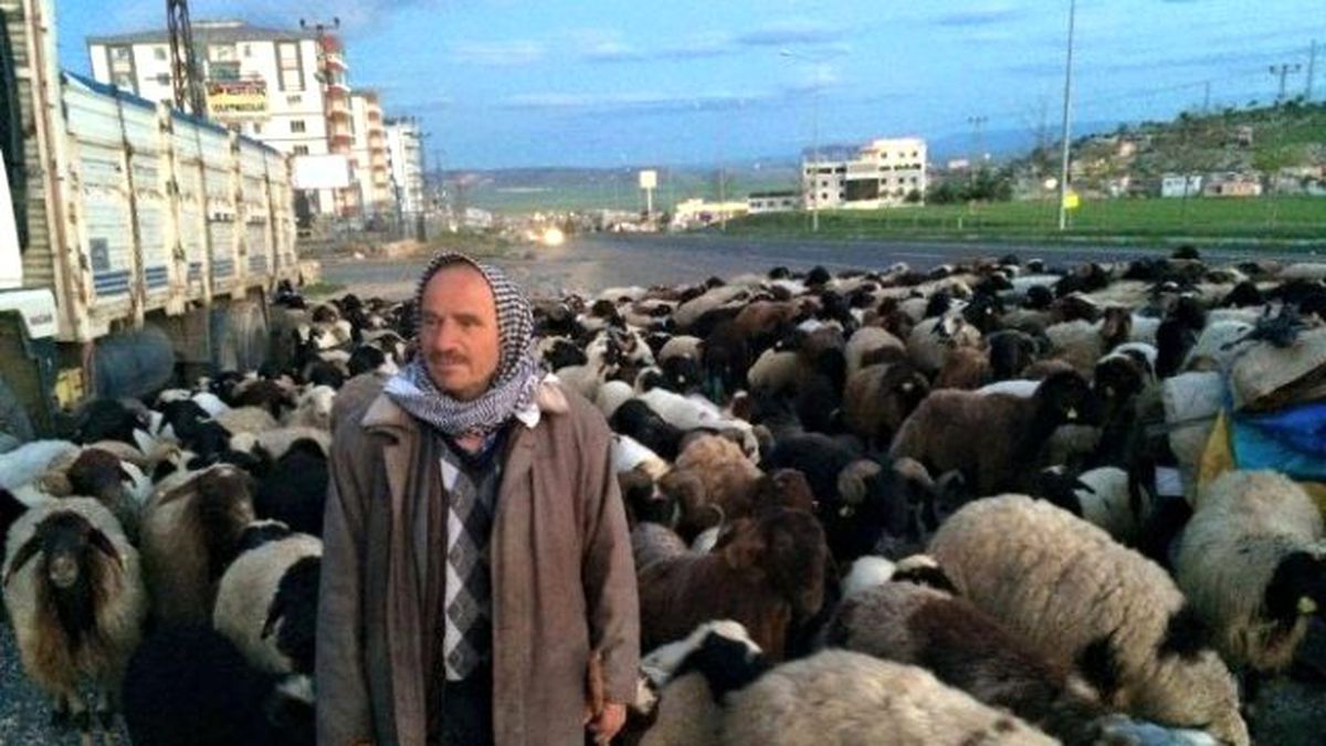 Göçerlerin Yolculuğu Başladı
