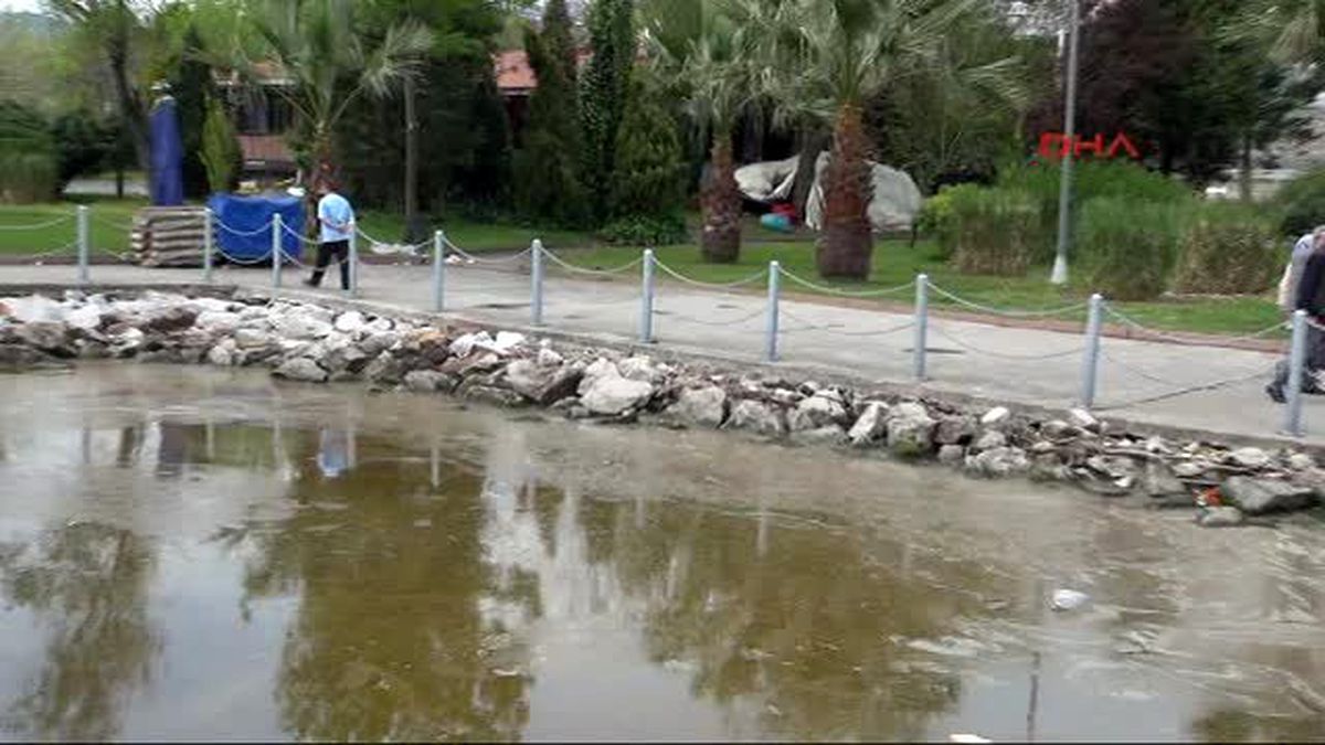İzmit Körfezi Yine Kızardı