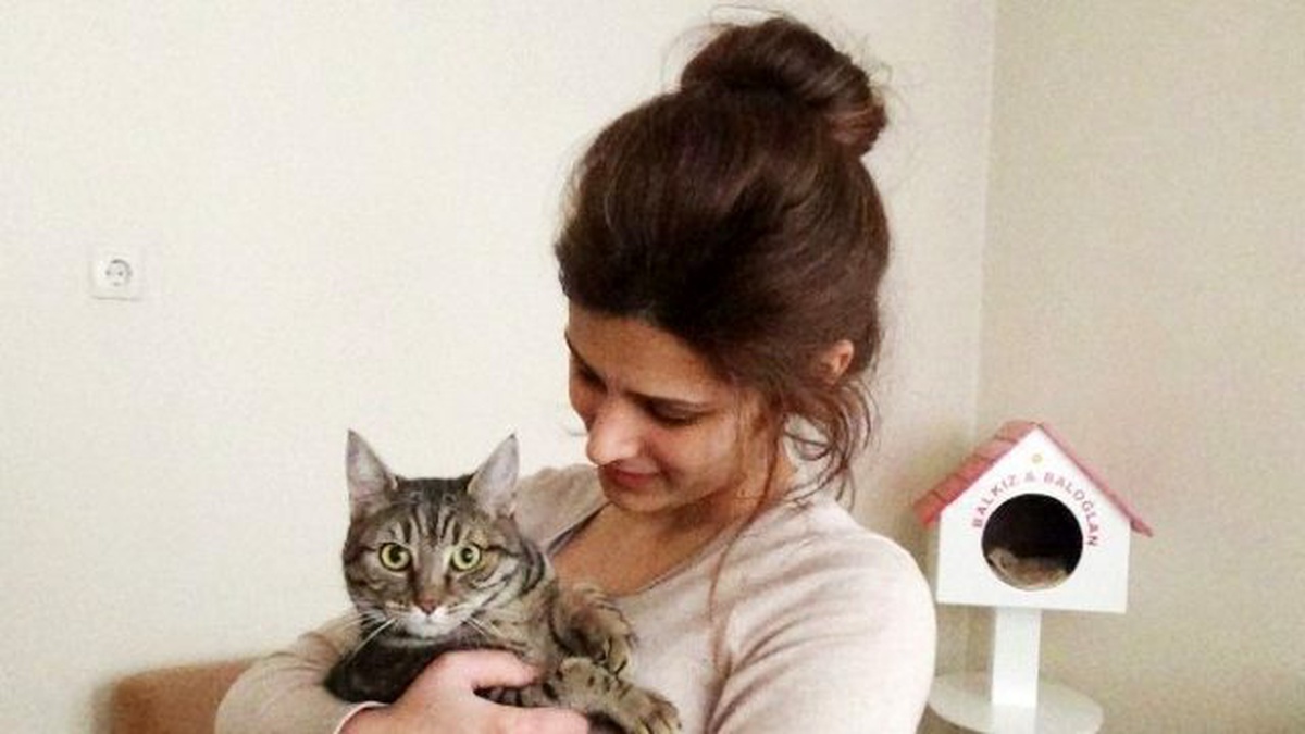 İki Bina Arasına Sıkışan Kedi İtfaiyeyi Alarma Geçirdi