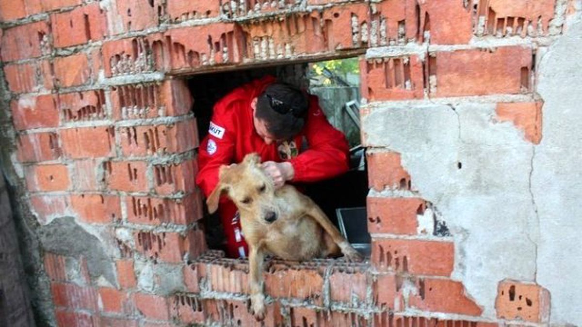 Akut\'tan Kuyuya Düşen Köpeğe Yardım Eli