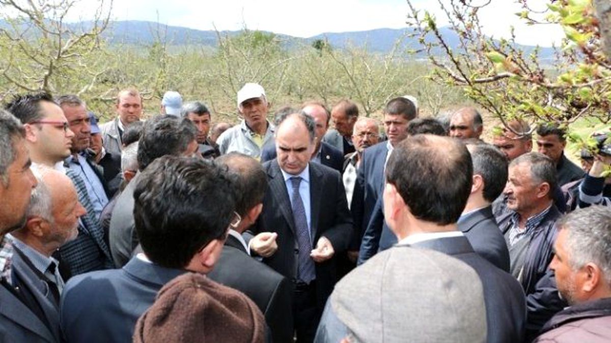 Don Vuran Meyve Bahçelerinde Hasar Tespiti Yapıldı