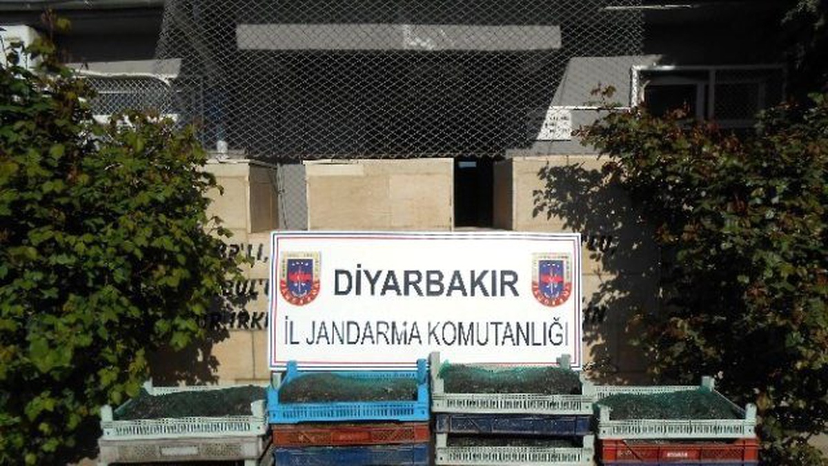 Jandarmanın Yol Kontrol Uygulamasında 191 Kilogram Canlı Kurbağa Ele Geçirildi