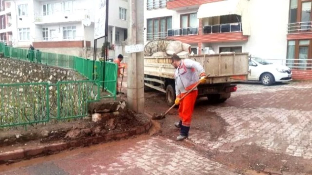 Mahallerde Bahar Temizliği