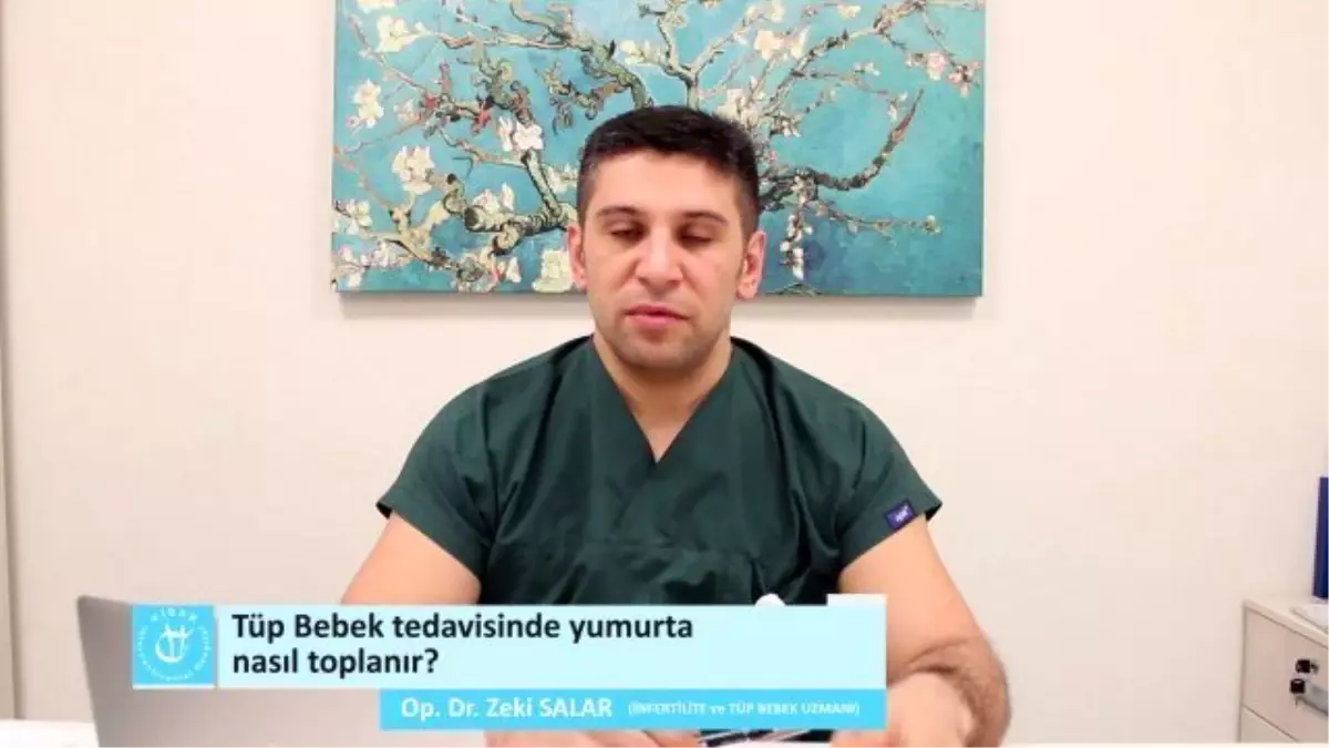 Tüp Bebek Tedavisinde Yumurta Toplanması ?