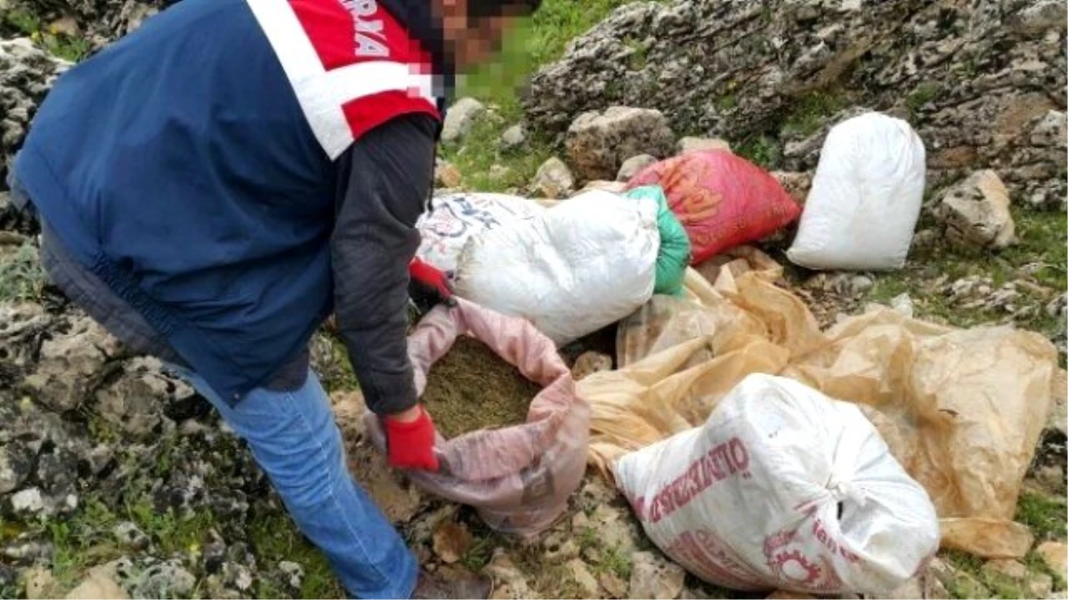 Diyarbakır\'da 52 Kilogram Esrar Ele Geçirildi