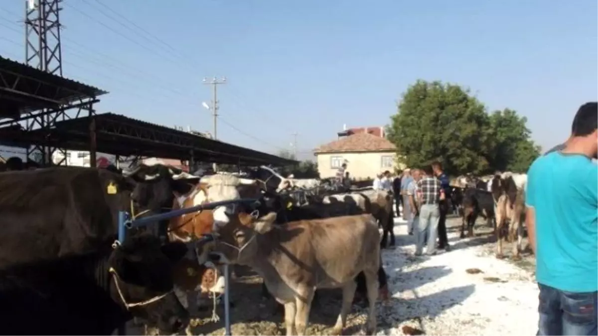 Isparta\'da Kapatılan Hayvan Pazarı Kullanıma Açıldı