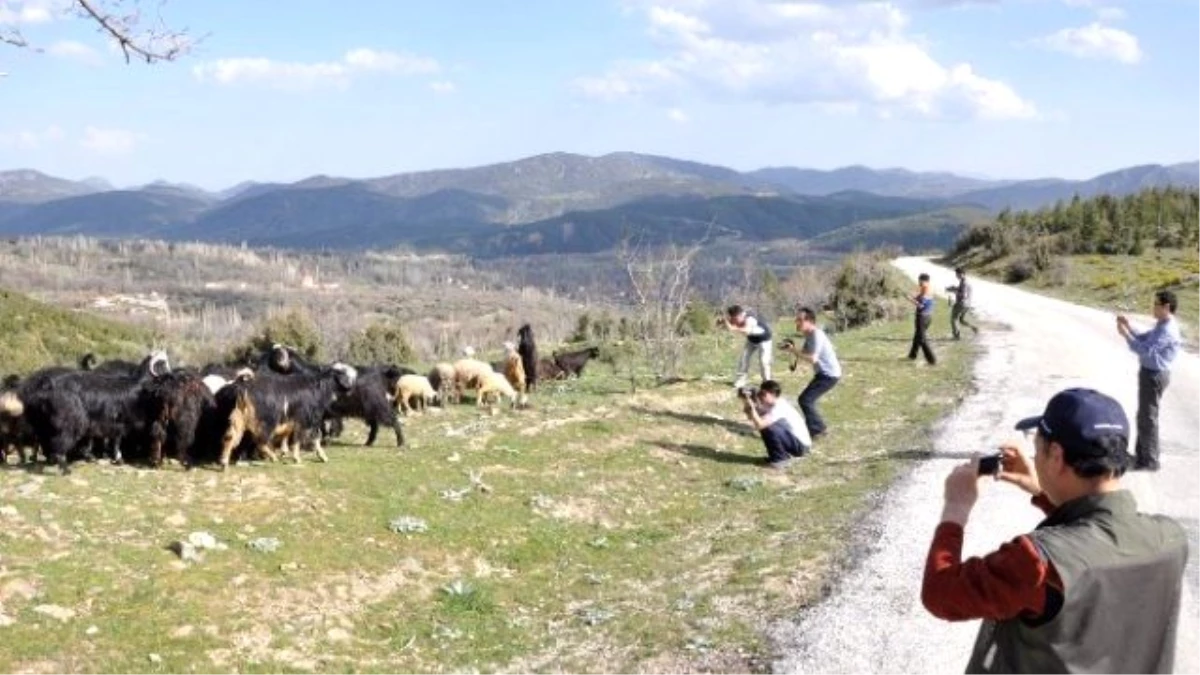 Güney Koreli Turist Hedefine Yönelik Tanıtım