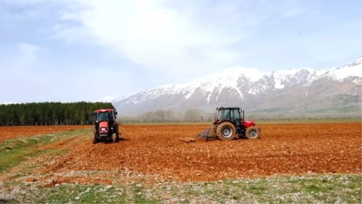 Komünist Başkan Organik Tohum Bankası İçin Kolları Sıvadı