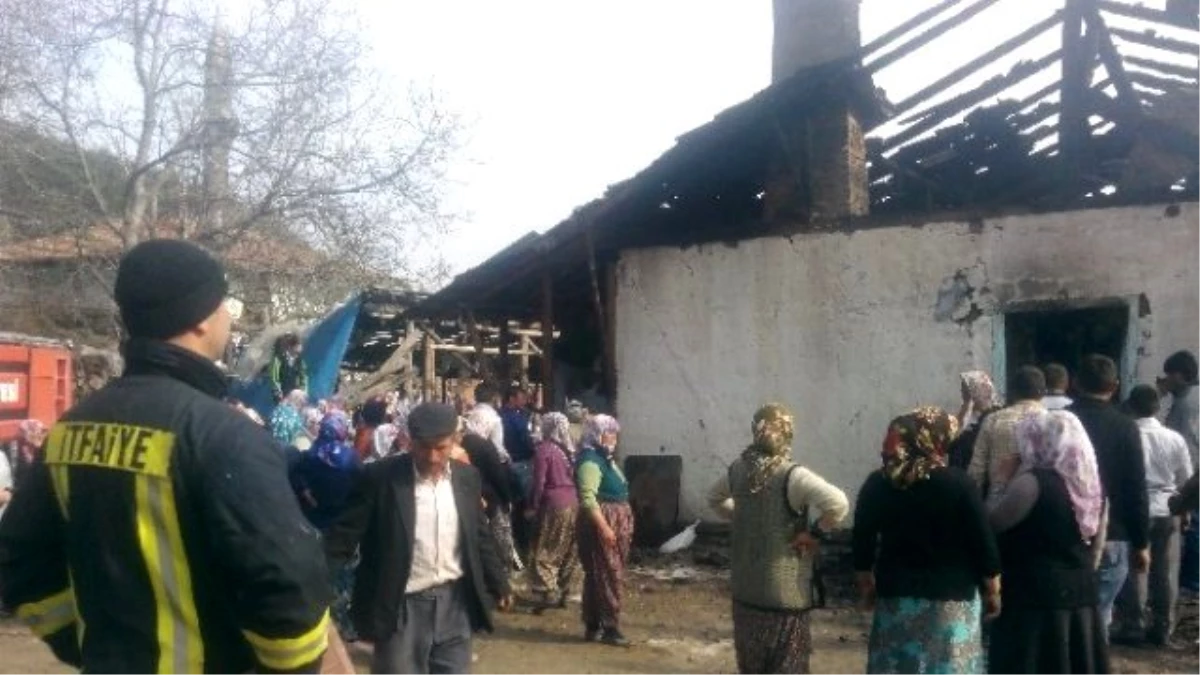 Tosya\'nın Ekincik Köyünde Çıkan Yangında 3 Ev Yandı, 20 Hayvan Telef Oldu