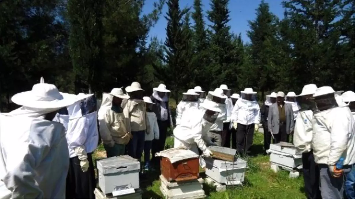 Arıcılar Uygulamalı Eğitim Sonunda Sertifikalarını Aldı