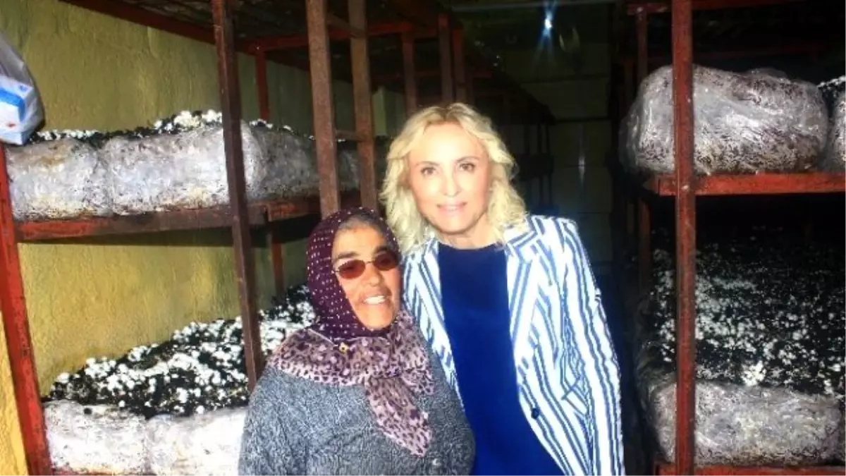 CHP\'li Çalıkuşu ve Bayar Seçim Çalışmalarını Sürdürdü