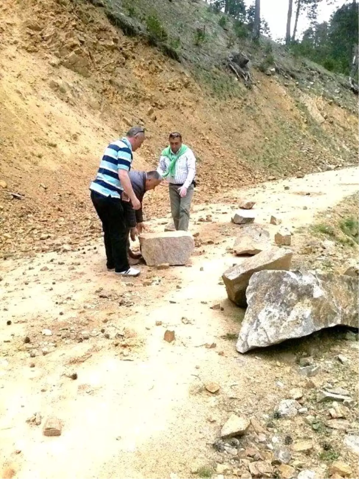 Karadeniz\'de Vatandaşlar Yaylalara Çıkmaya Başladı