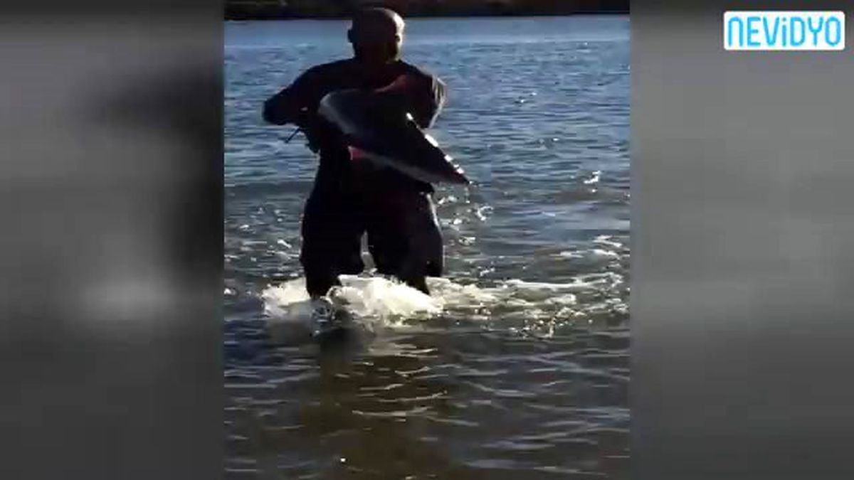 Köpekbalığını Elleriyle Yakaladı!