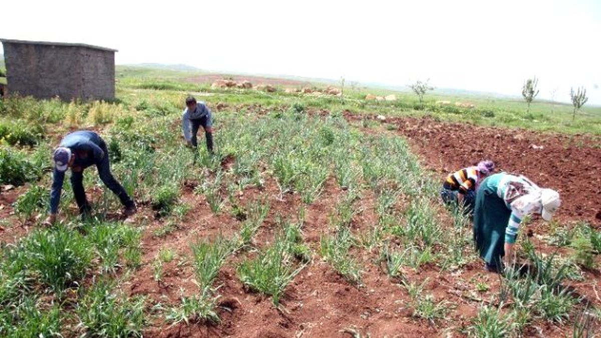 Alternatif Üretim ve İstihdam Derneği\'nden Müthiş Proje