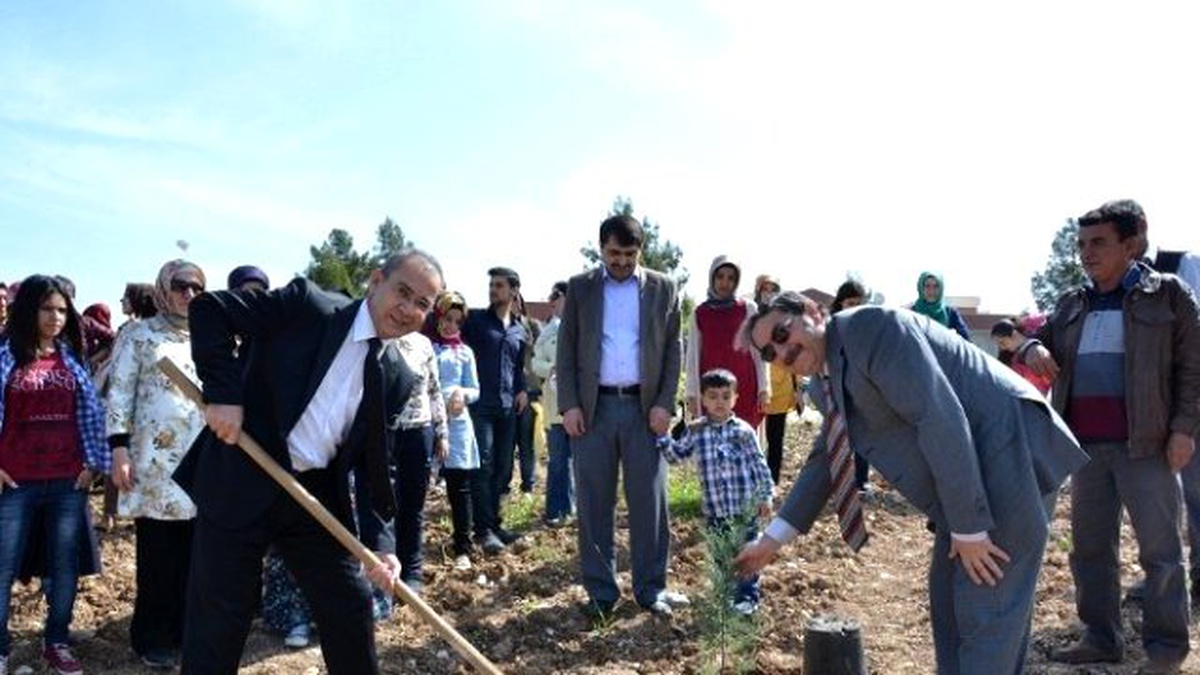 Üniversitesi Öğrencilerinden Fidan Dikme Etkinliği