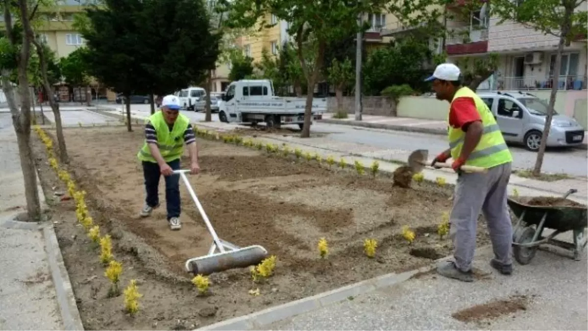 Yunusemre Belediyesi Saha Çalışmasına Başladı