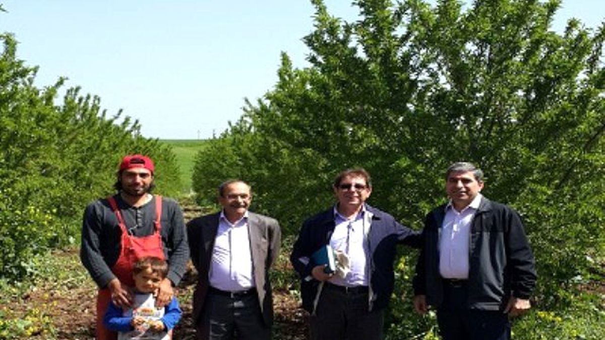 Badem Üreticisine Akademik Destek