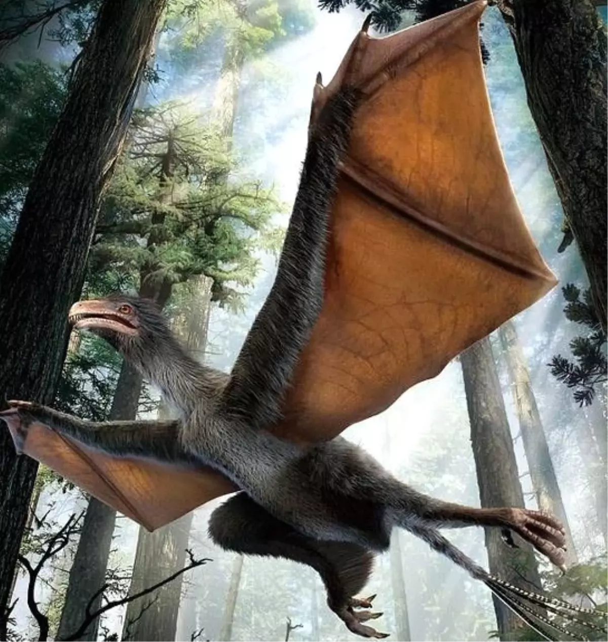 Bilim Adamları Şaşkın! İlk Kez Uçan Dinazor Fosiline Rastlandı!