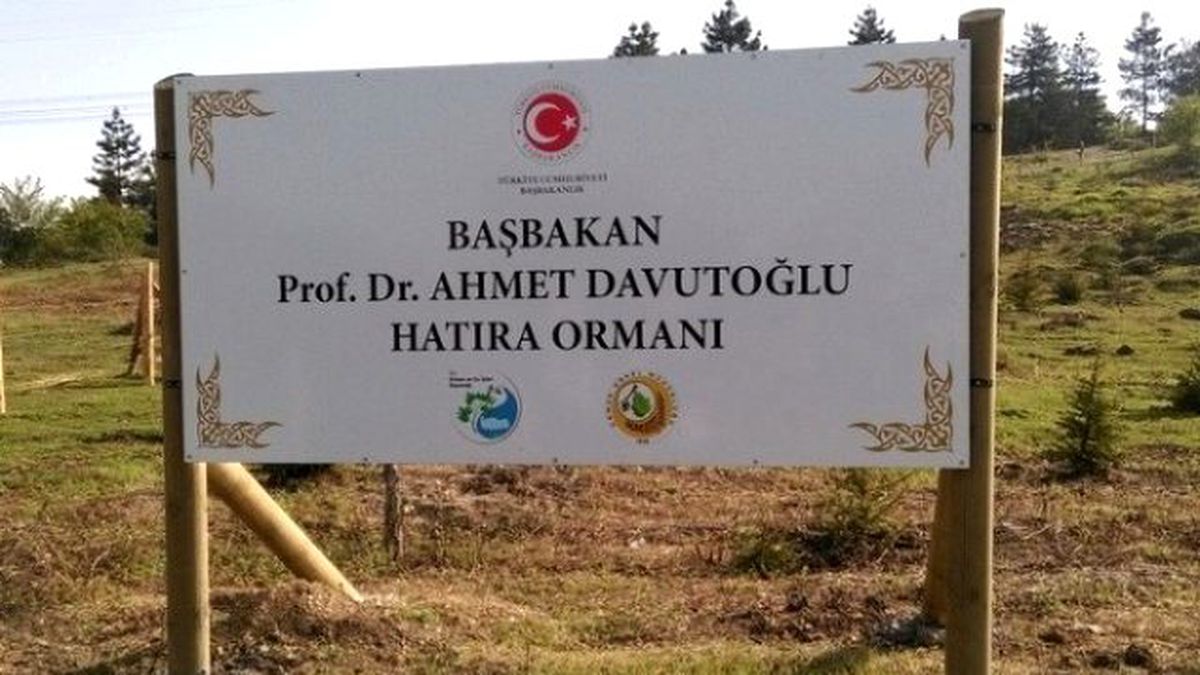 Düzce\'de Başbakan Adına Hatıra Ormanı Oluşturuldu