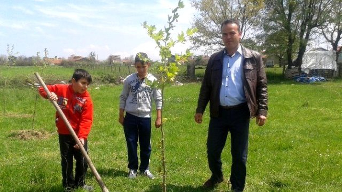 Etili Köyüne 300 Fidan Dikildi