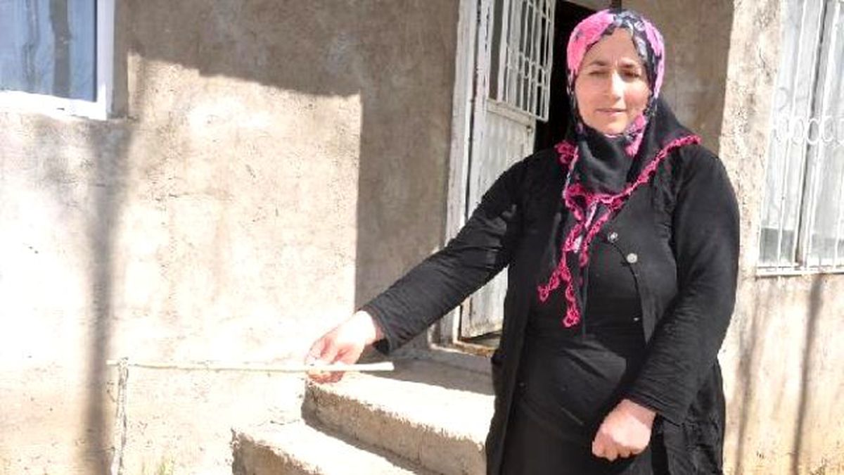 Evlerini Yılanlar İstila Etti