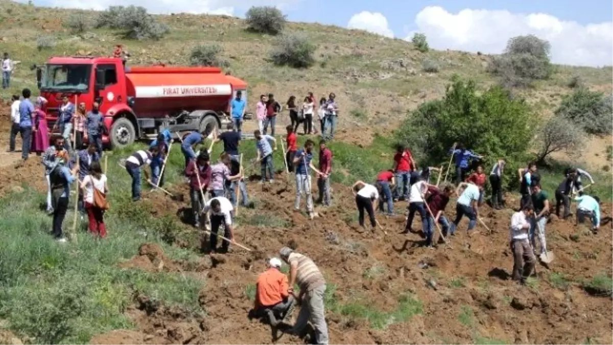 FÜ Öğrencileri Fidan Dikti