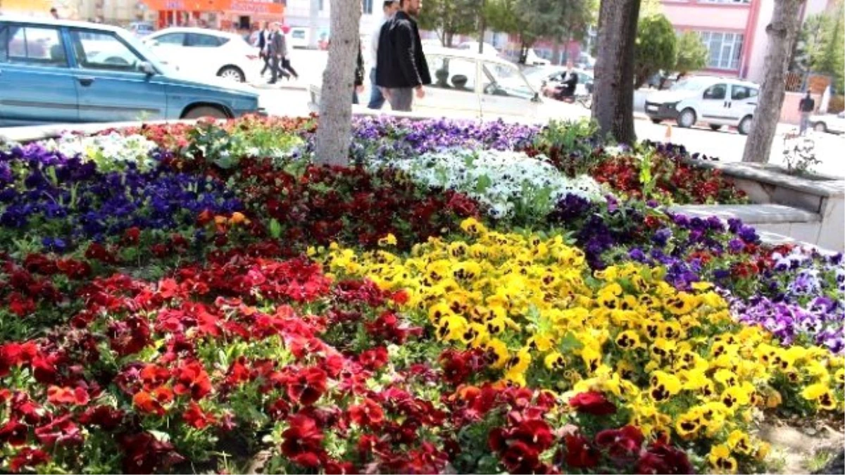 Sungurlu Çiçeklerle Donatıldı