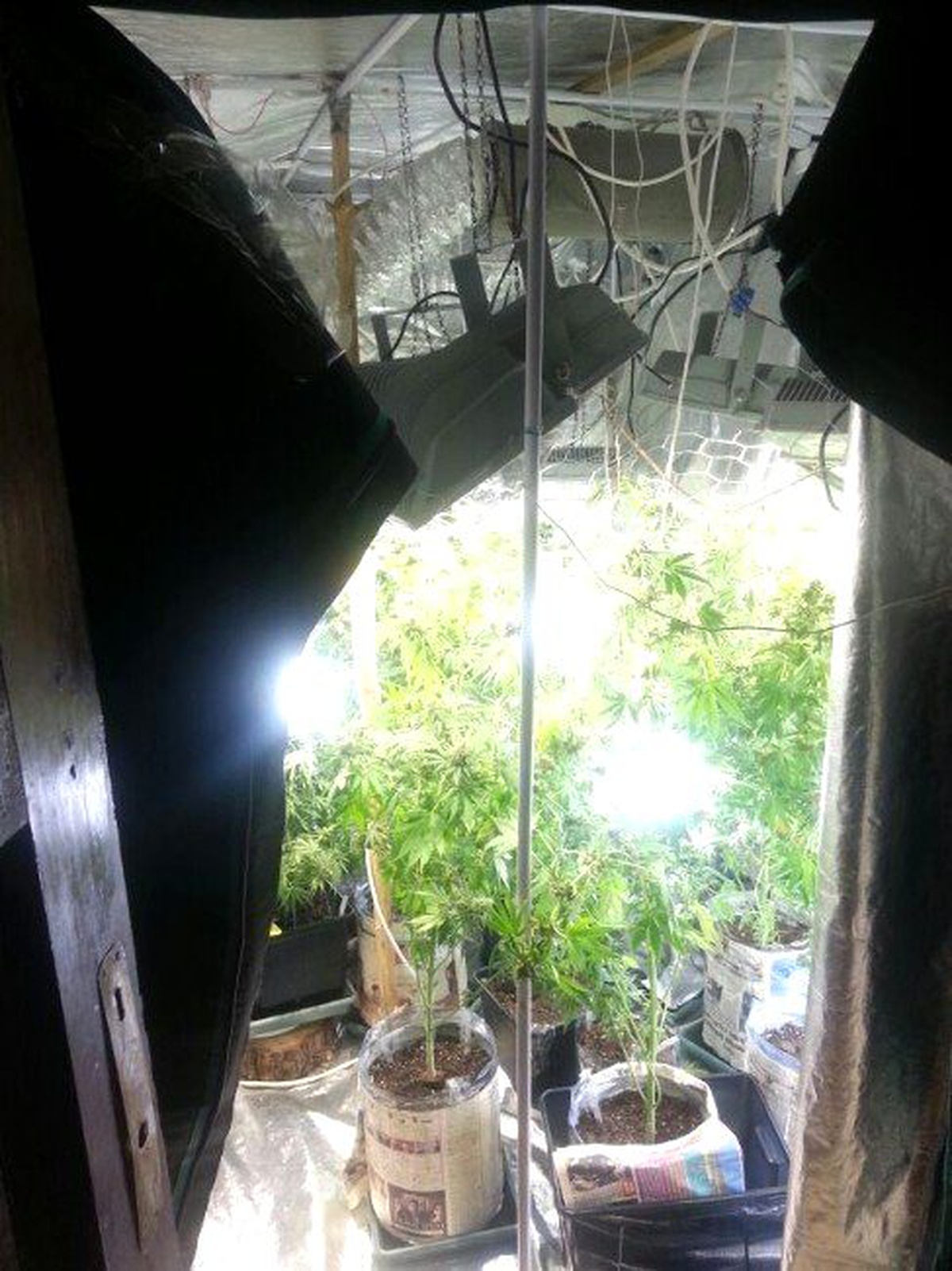 Uyuşturucu Tiryakilerinin Düzeneği Jandarmayı Bile Şok Etti