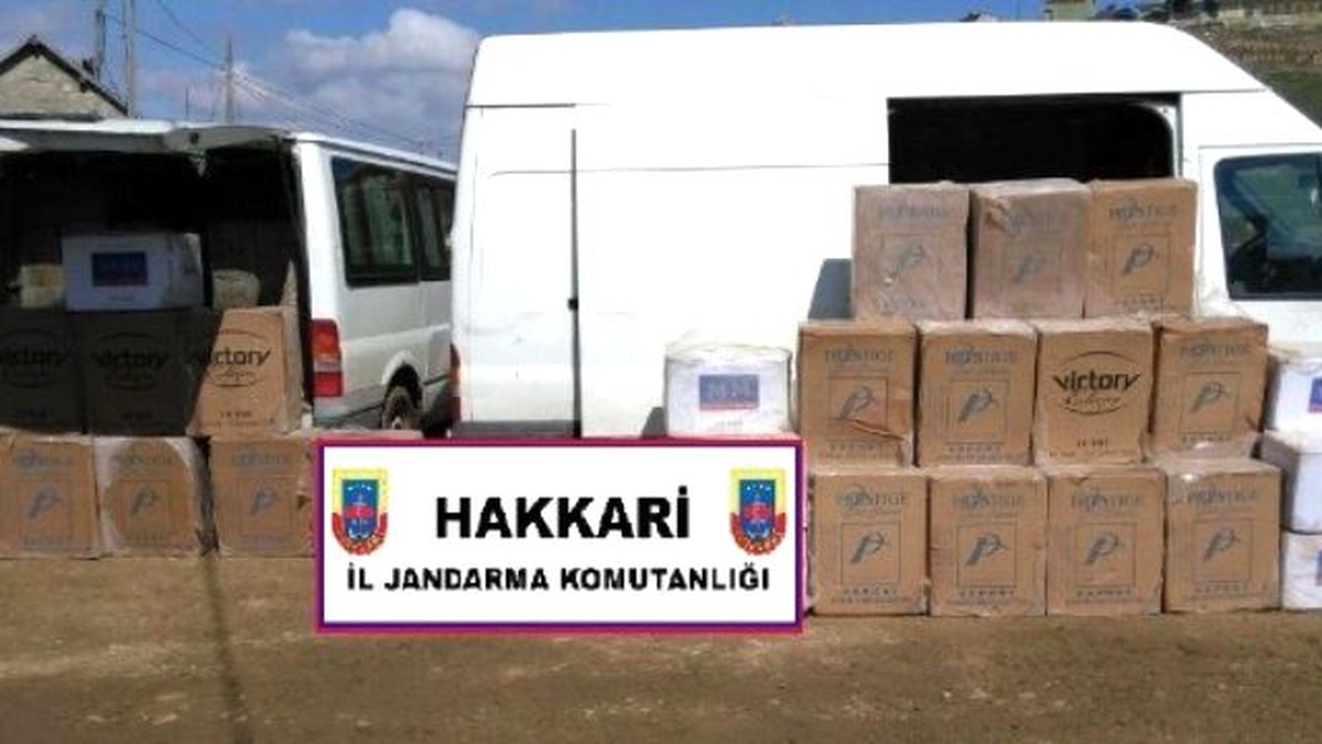 İnsansız Hava Aracı Kaçakçılara Geçit Vermiyor